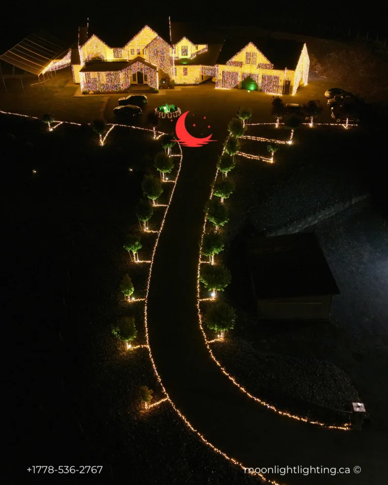 Moonlight Lighting